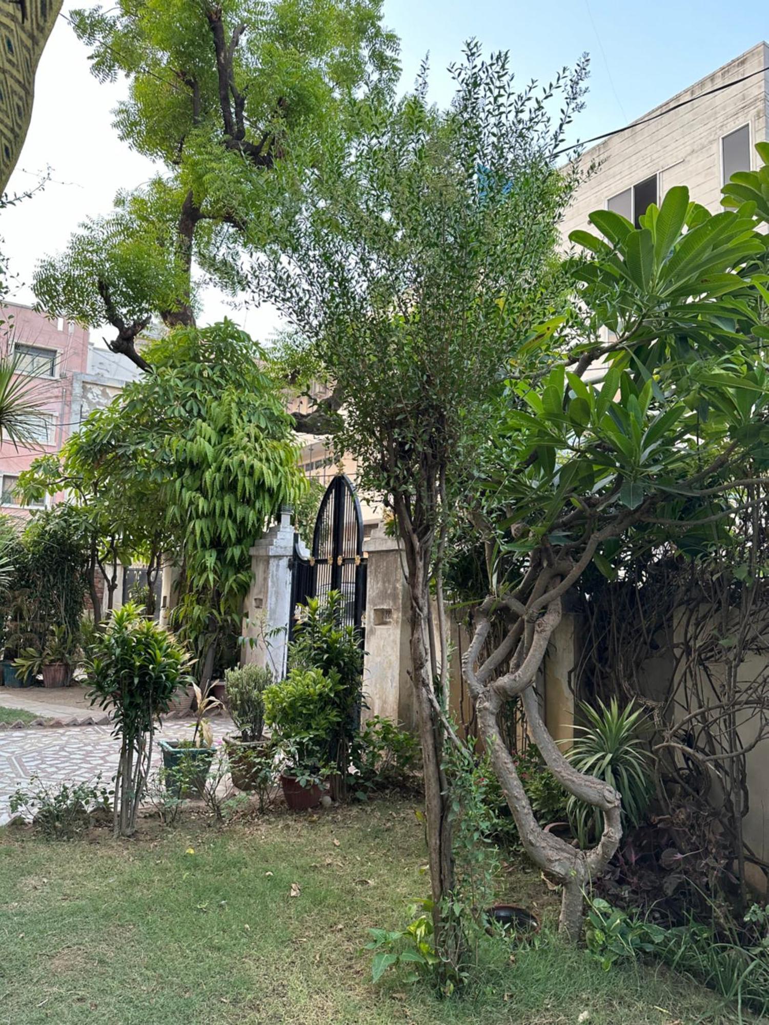 Jwala Niketan Jaipur Hotel Eksteriør billede